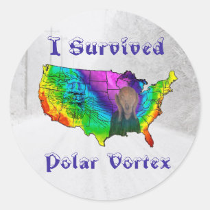 Ich überlebte Polar Vortex Runder Aufkleber