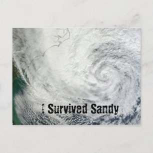 Ich überlebte Sandy Postcard Postkarte