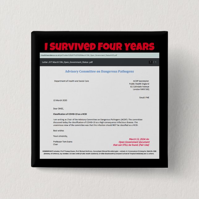 Ich überlebte vier Jahre mit RoseWrites Button (Vorderseite)
