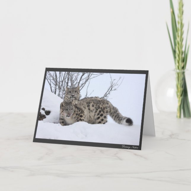 Ich und mein Kumpel Karte (Vorderseite)