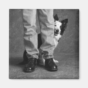 Ich und mein Schatten - Collie-Hund Magnet
