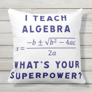 ich unterrichte Algebra Kissen Für Draußen