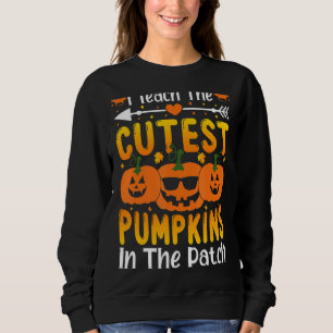Ich unterrichte die Niedlichsten Kürbis in die Pat Sweatshirt