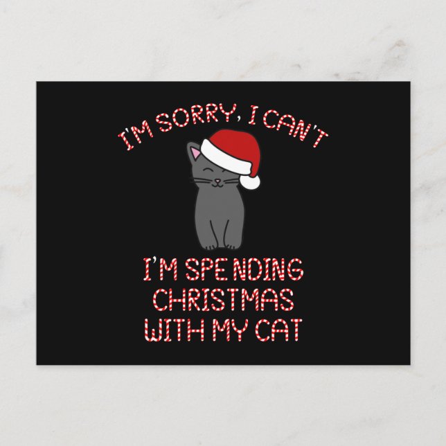 Ich verbringe Weihnachten mit meinem Katzenwitz Postkarte (Vorderseite)