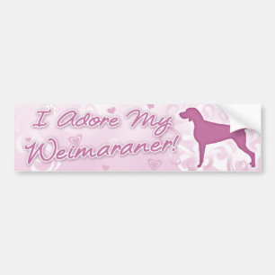 Ich verehre meinen Weimaraner Autoaufkleber