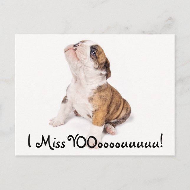 Ich vermisse deine Englische Bulldogard Post Postkarte (Vorderseite)