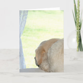 Ich vermisse deinen gelbe Labrador Karte