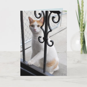 Ich vermisse dich Katze Karte