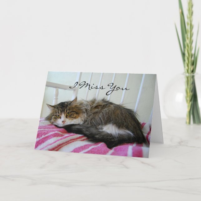 Ich vermisse dich, Maine Coon Cat Card Karte (Vorderseite)