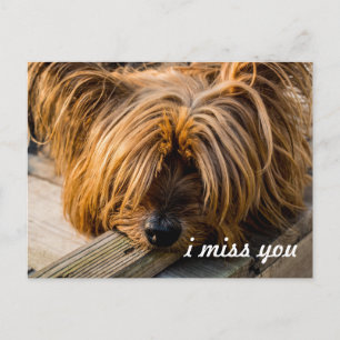 Ich vermisse dich postkarte