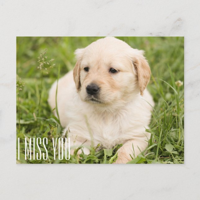 Ich vermisse dich postkarte (Vorderseite)