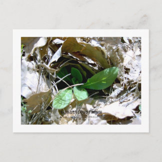 Ich vermisse dich (Südkorea) Postkarte