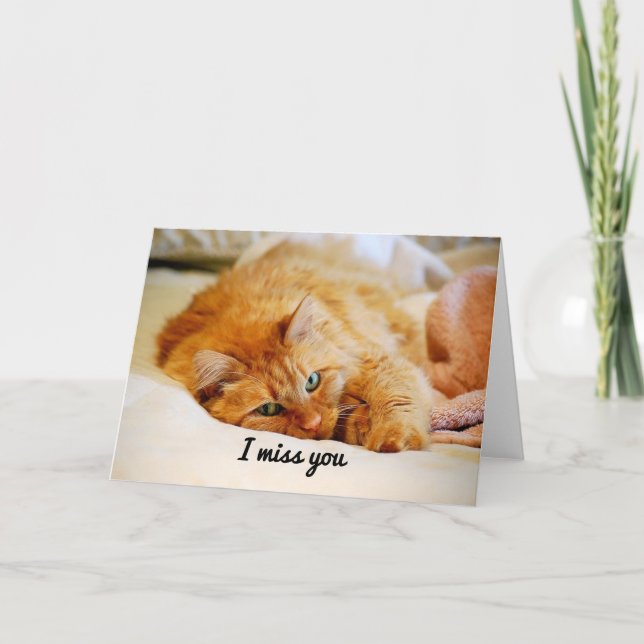 Ich vermisse dich, Süße Orange Maine Coon Cat Karte (Vorderseite)