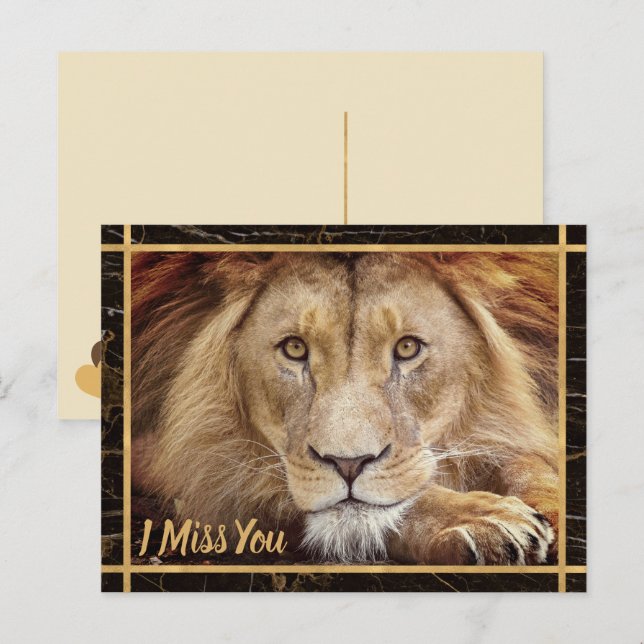 Ich vermisse Sie Lion Foto Image Postkarte (Vorne/Hinten)