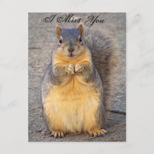 Ich vermisse Sie_ Postcard_by Elenne Boothe Postkarte (Vorderseite)