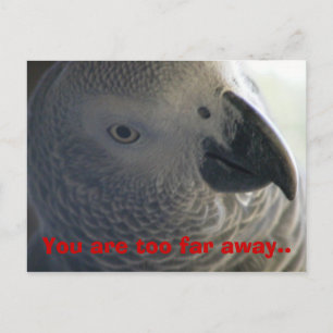 Ich vermisse Sie Postkarte