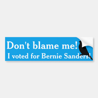 Ich wählte für Bernie! Autoaufkleber
