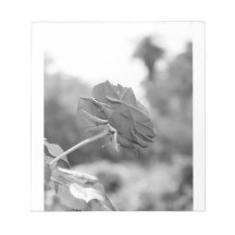 Ich wählte Me-Rose