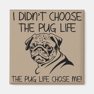 Ich wählte nicht den Mops-Leben-lustigen Magnet