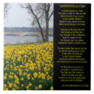 ICH WANDERTE EINSAM ALS WOLKE FLIESE