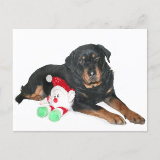 Ich war ein guter Weihnachtsmann Feiertagspostkarte