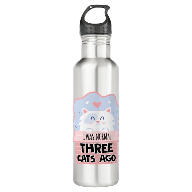Ich war vor drei Katzen normal Edelstahlflasche (Vorderseite)