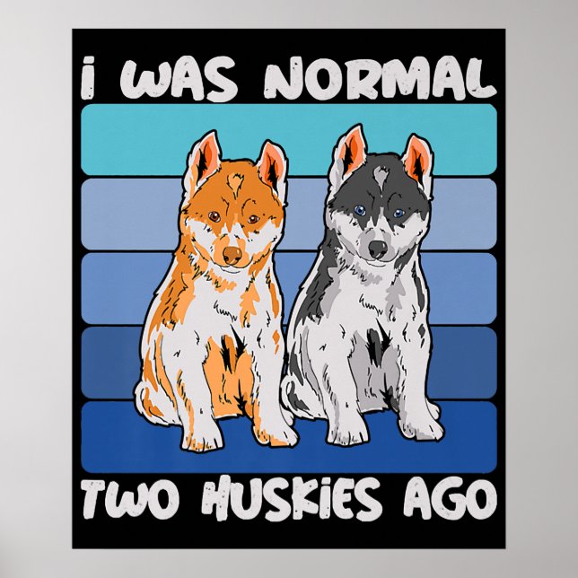 Ich war vor zwei Huskies normal | Shiba Dog Poster (Vorne)