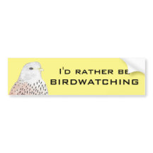 Ich wäre eher Vogelbeobachtung