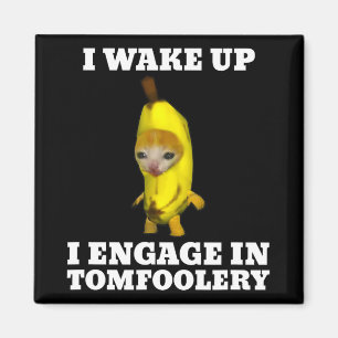 Ich Weckte hoch und engagierte mich in Tomfoolery Magnet