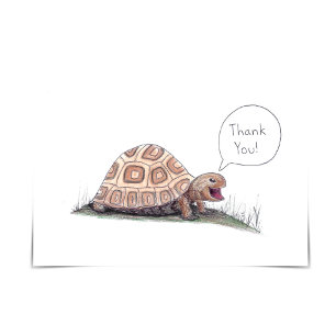 "Ich weiß es Turtley zu schätzen" Schildkröte Dank Karte