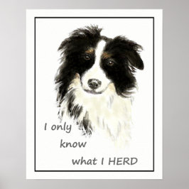 "Ich weiß nur, was ich HERDE" Zitat "Border Collie Poster