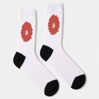 Ich weiß, warum sie Crew Socken geblieben ist