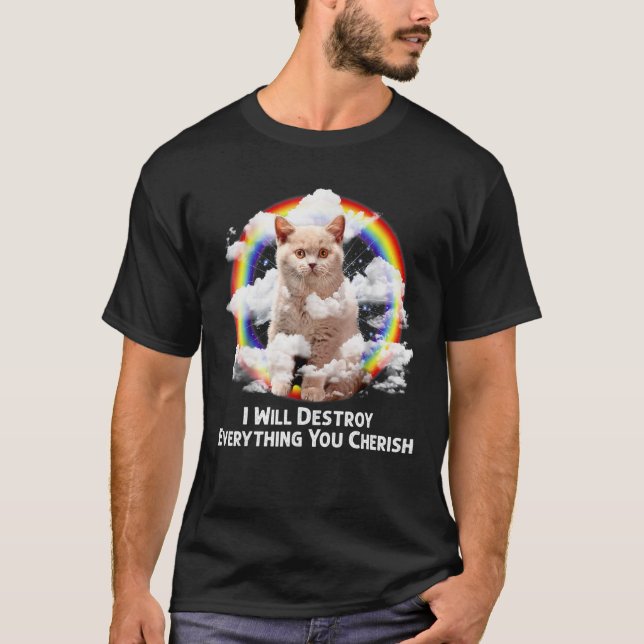 Ich werde alles zerstören, was du Cat Rainbow tust T-Shirt (Vorderseite)