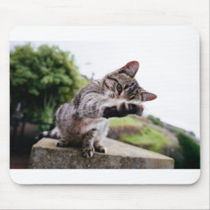 Ich werde dich fangen:Witzkatze Mousepad