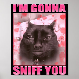 Ich werde dich schnüffeln Lustige Katzen Meme Frau Poster