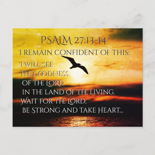 Ich werde die Güte des Herrn Psalm 27:13-14 sehen Postkarte (Vorderseite)