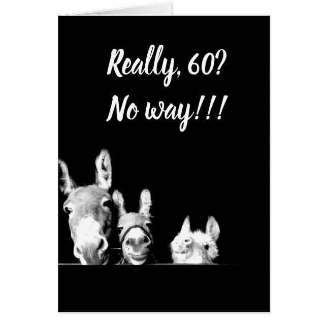 **ICH WERDE EIN ONKEL DES SPONKEYS SEIN** SIE KÖNN (Vorne)