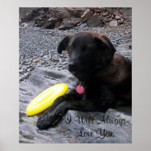 Ich werde immer Liebe Sie Plakat