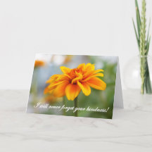 Ich werde nie deine Freundlichkeit vergessen