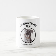 Ich werde von einer Schnauzer-Tasse ausgebildet