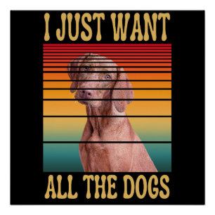 ICH WILL EINFACH ALLE HUNDE POSTER