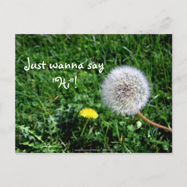Ich will nur "Hi" sagen! Dandelions Greetings Postkarte (Vorderseite)