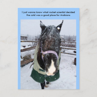 Ich will nur wissen, was Rakete sci... Postkarte