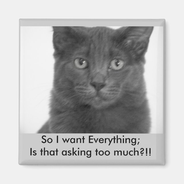 Ich wollte alles Magnet (Vorne)