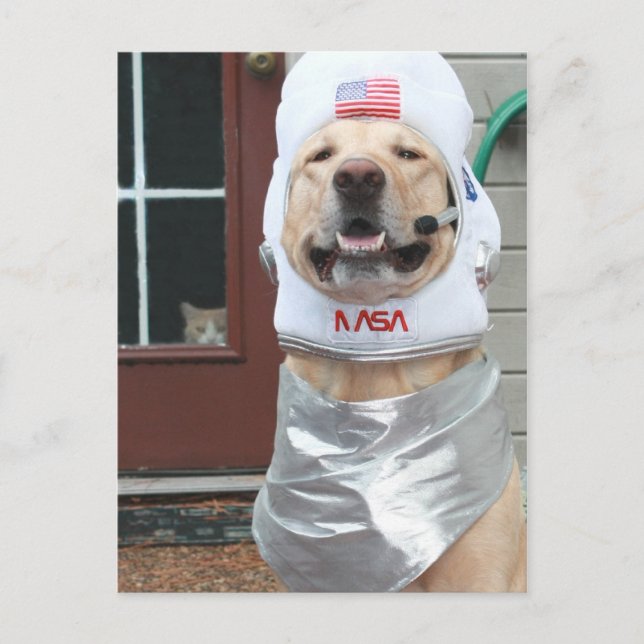 Ich Wollte, Bilder zu machen Postkarte (Vorderseite)