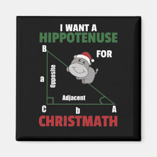 Ich Wollte ein Hippo für Weihnachten Niedlichen Hi Magnet