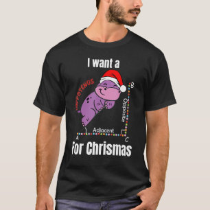 Ich Wollte einen Hippotenuse für Weihnachtslehrer  T-Shirt