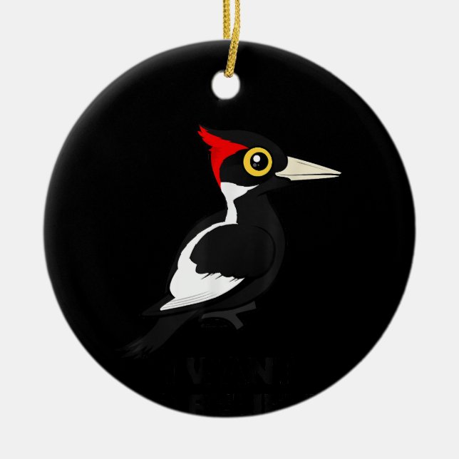 Ich Wollte zu glauben, Elfenbeinspecht Birdorab Keramik Ornament (Vorne)