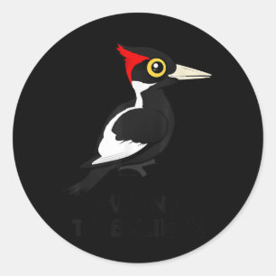 Ich Wollte zu glauben, Elfenbeinspecht Birdorab Runder Aufkleber
