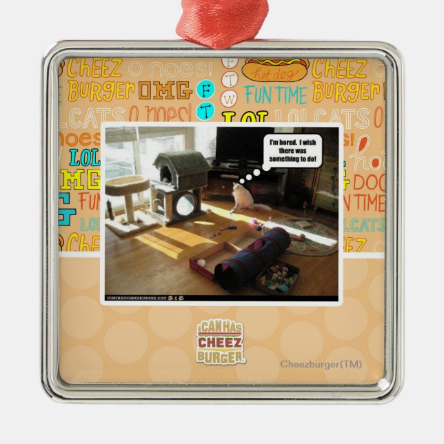 Ich wünsche, dass es etwas gab zu tun silbernes ornament (Vorne)